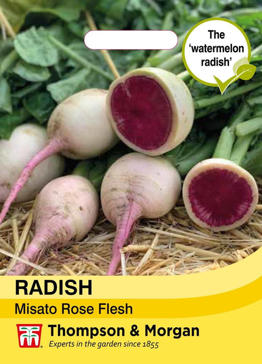 Thompson & Morgan Vegetable Radish Misato Rose Flesh - 150 Seeds