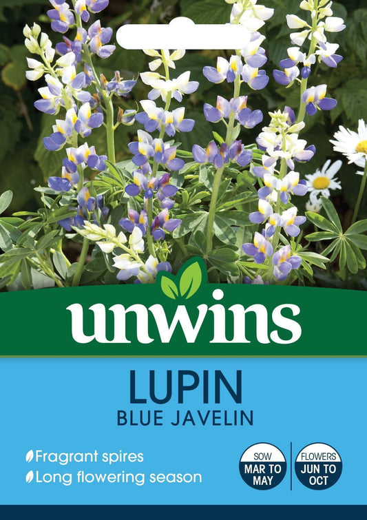 Unwins Lupin Blue Javelin 15 Seeds