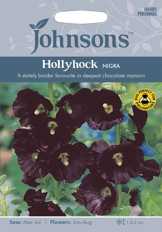 Johnsons Hollyhock Nigra 50 Seeds