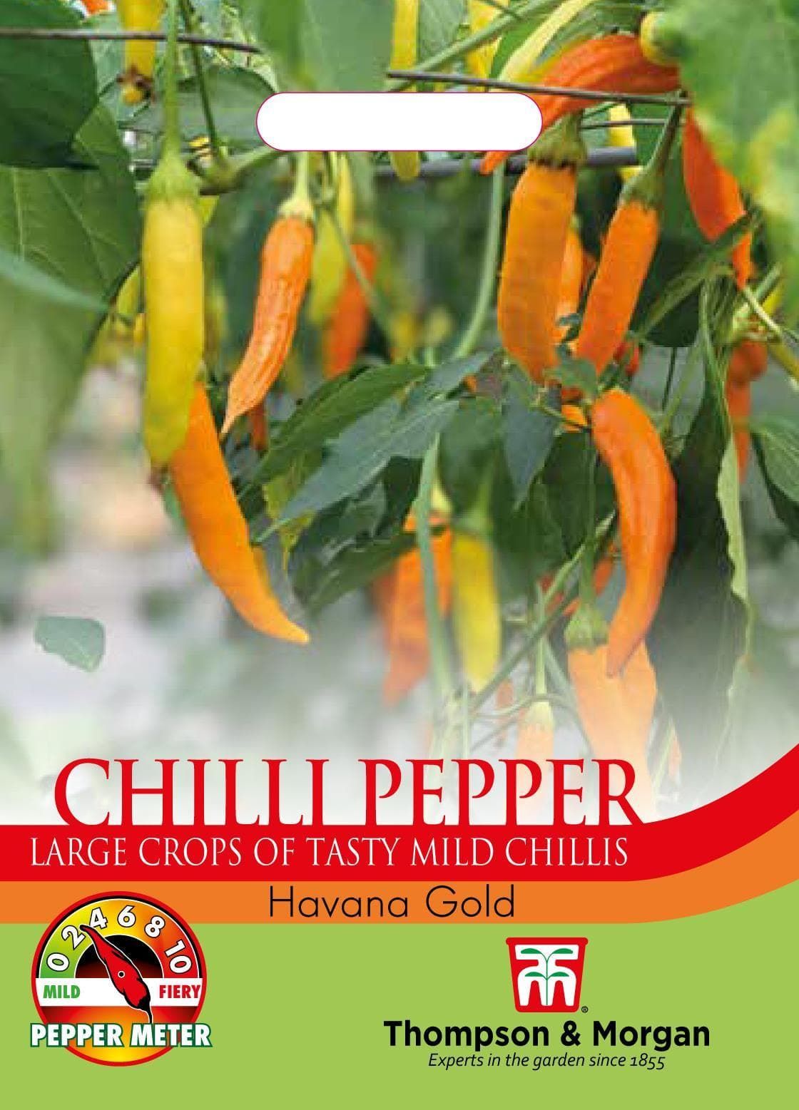 Thompson & Morgan Vegetable Pepper Chilli Havana Gold - 8 Seeds