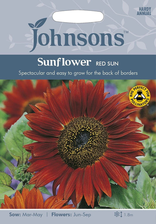 Johnsons Sunflower Red Sun 40 Seeds