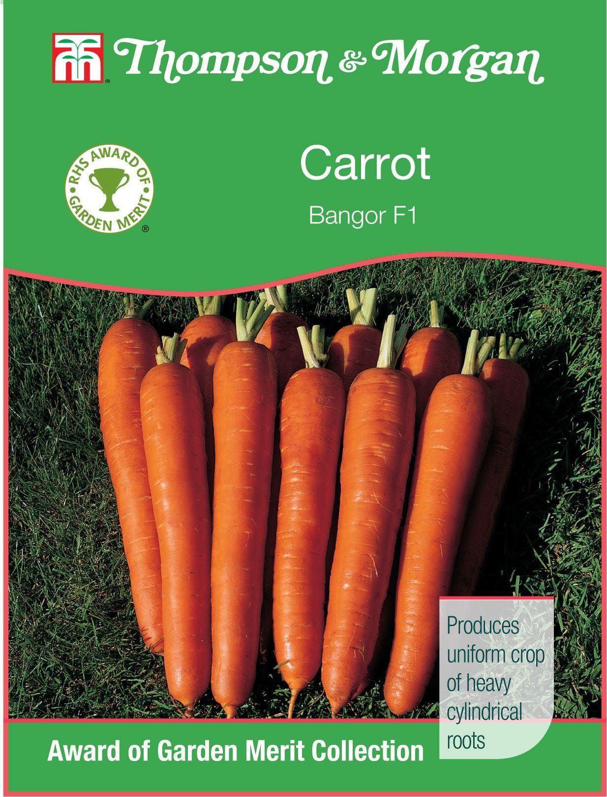 Thompson & Morgan - RHS Vegetable - Carrot - Bangor - 450 Seeds