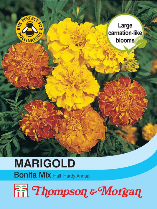 Thompson & Morgan French Marigold Bonita Mix Seed