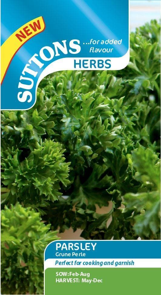 Sutton Seeds - Parsley Seeds - Grune Perle