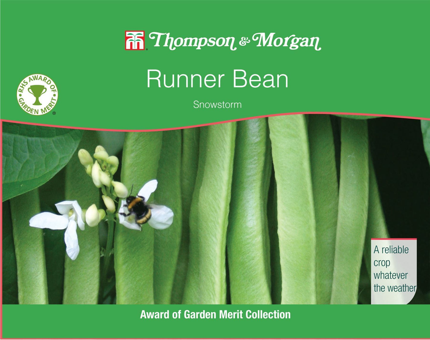 Thompson & Morgan RHS Vegetables Runner Bean Snowstorm 30 Seed
