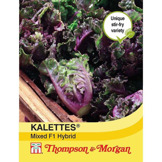 Thompson & Morgan Kalettes Petit Posy Mix Seed