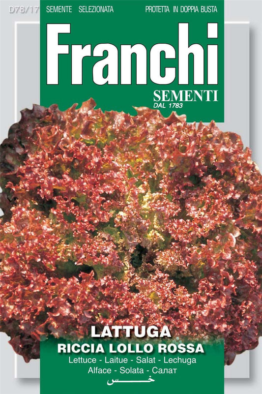 Franchi Seeds of Italy Lettuce Lollo Rossa (Spumiglia) Seeds