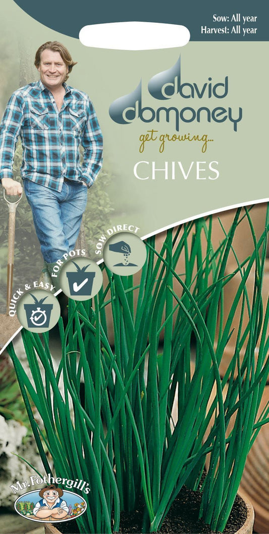Mr Fothergills - Herb - David Domoney Chives - 750 Seeds