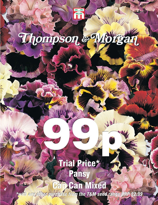 Thompson & Morgan - 99p Flower - Pansy - Can Can Mixed - 20 Seeds