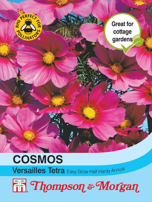 Thompson & Morgan Cosmos Versailles Tetra 60 Seed