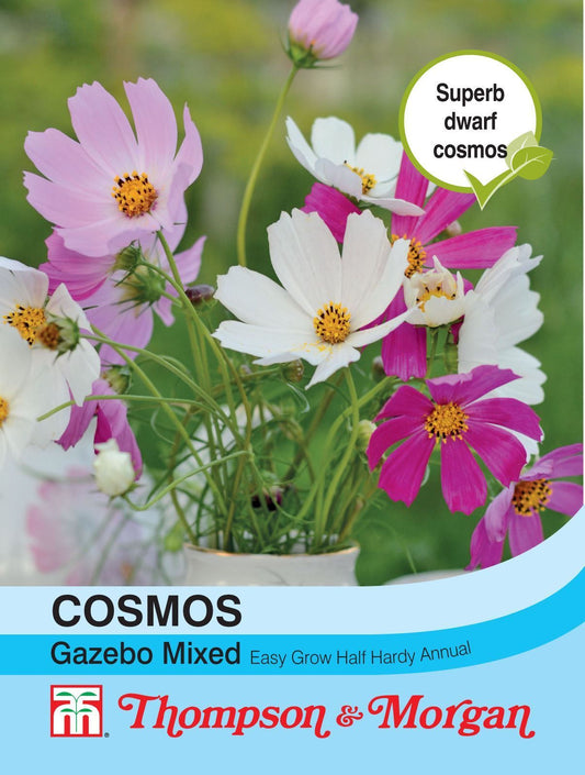 Thompson & Morgan Cosmos Gazebo Mixture 100 Seed