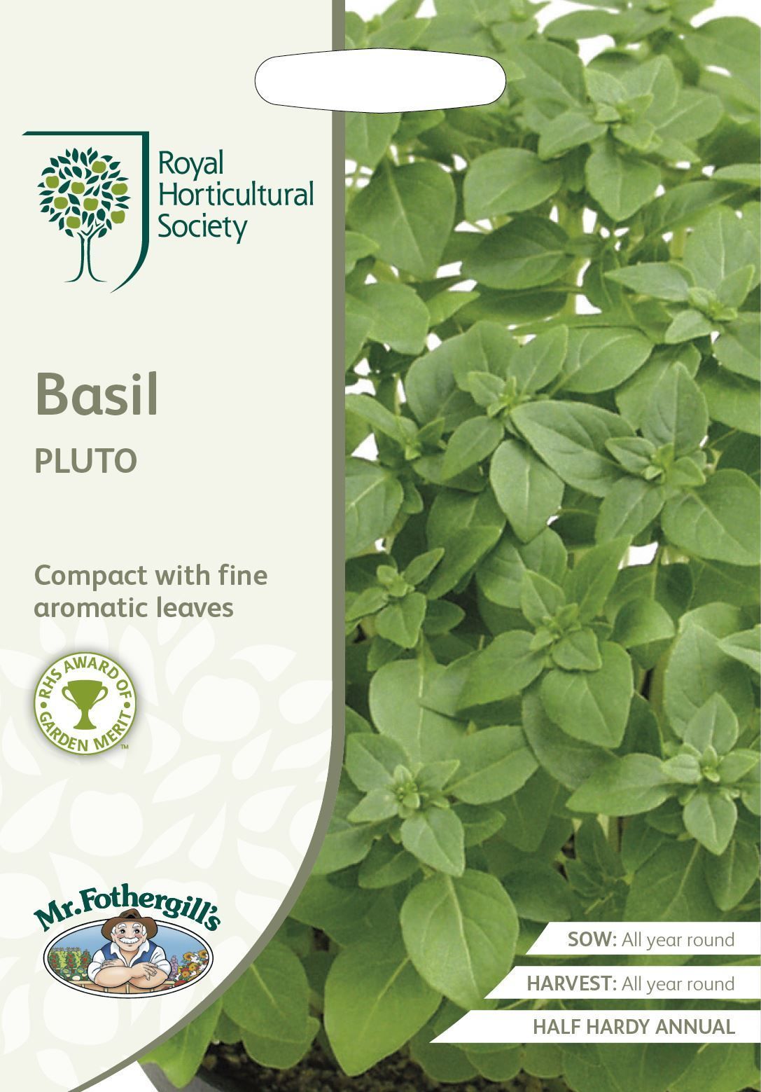 Mr. Basil Mr Fothergills RHS Basil Pluto 300 Seeds – JustSeed