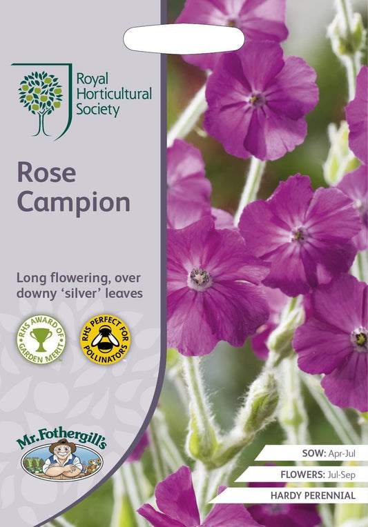 Mr Fothergills RHS Rose Campion 500 Seeds