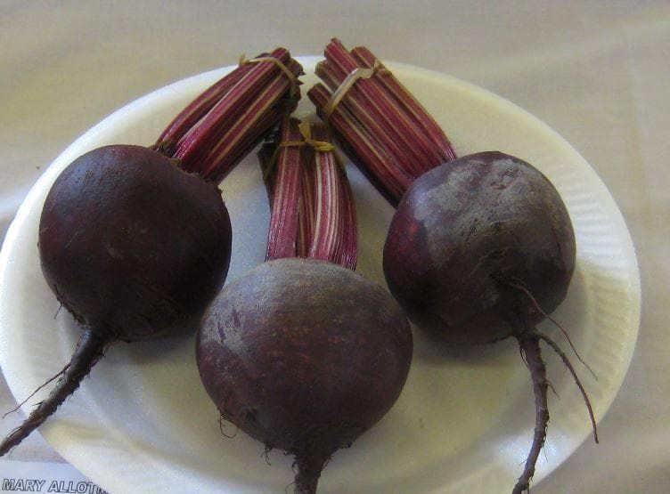 Beetroot Red Ace F1 Hybrid Seeds
