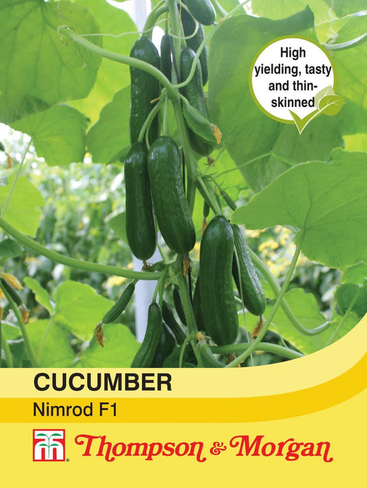 Thompson & Morgan - Cucumber Nimrod F1 Hybrid - 4 Seeds