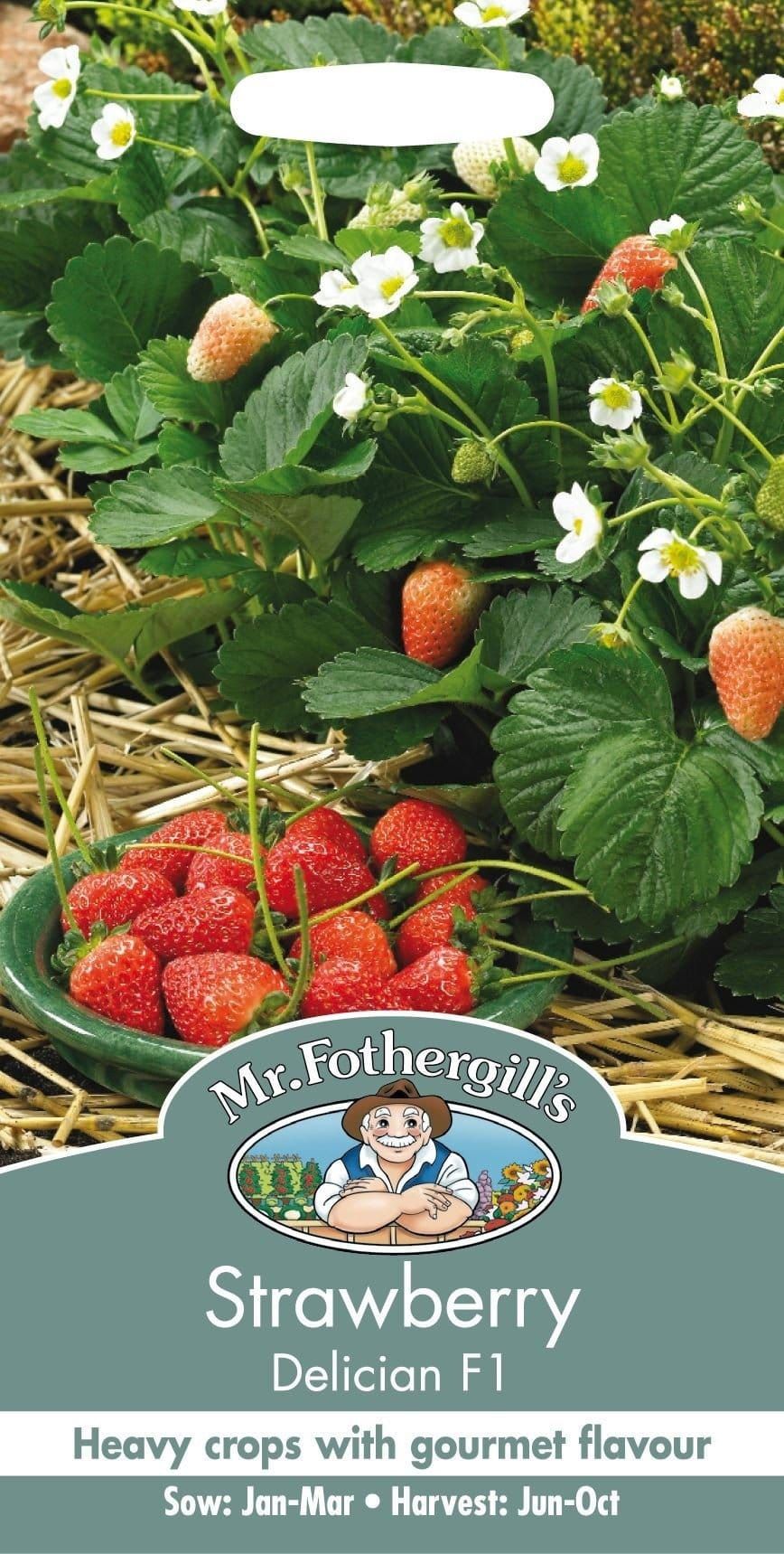 Mr Fothergills Fruit Strawberry Delician F1 Seeds