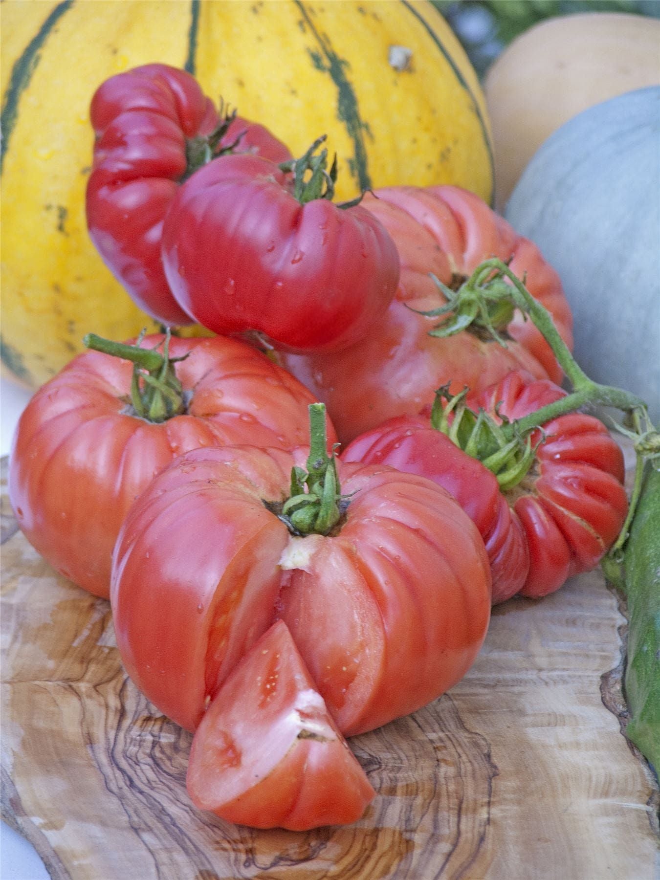 How to Grow Brandywine Tomatoes - Backyard Gardeners Network