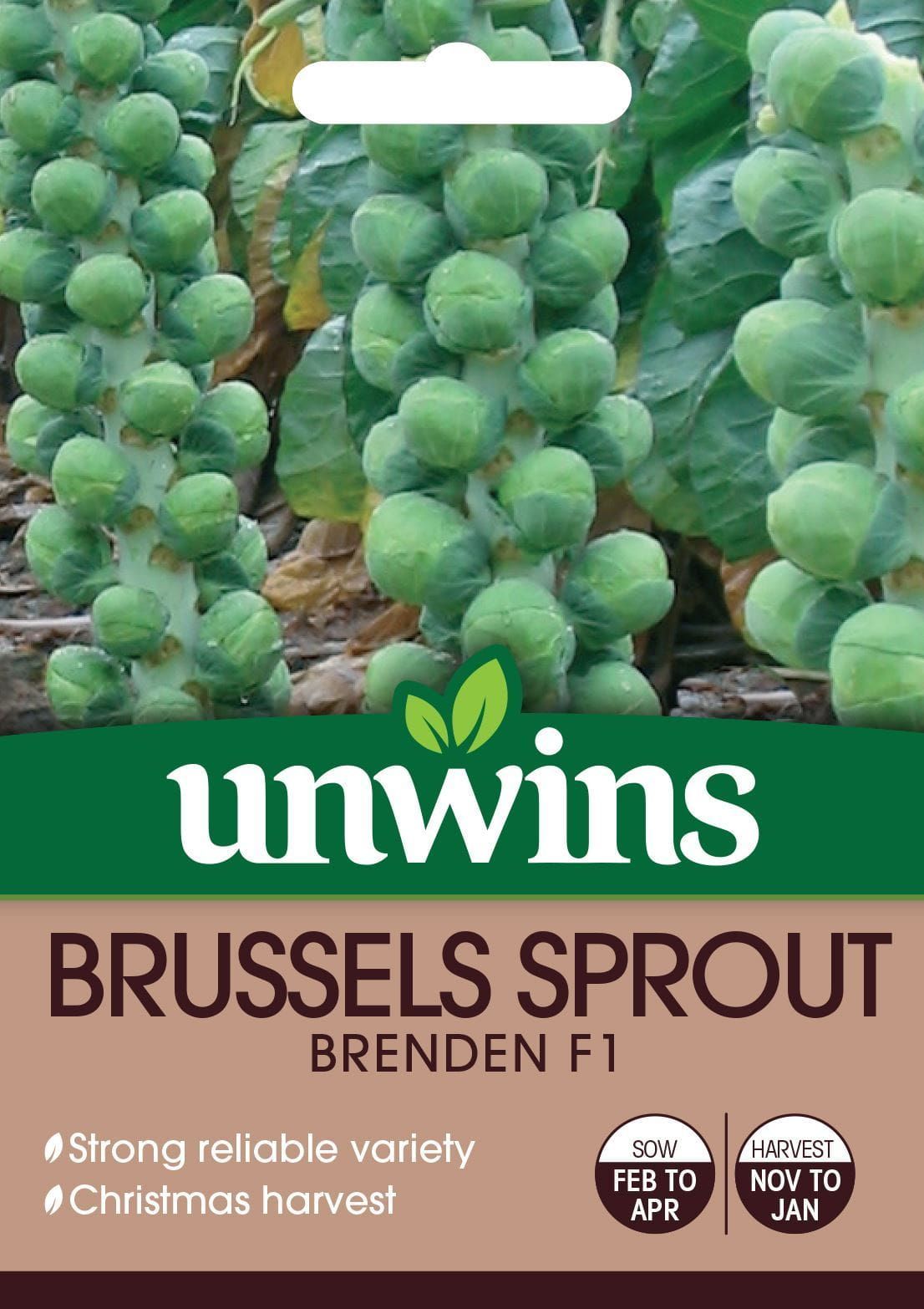 Unwins Brussels Sprout Brenden F1 - 50 Seeds