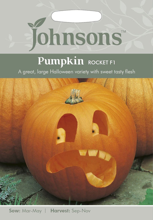 Johnsons Pumpkin Rocket F1 10 Seeds