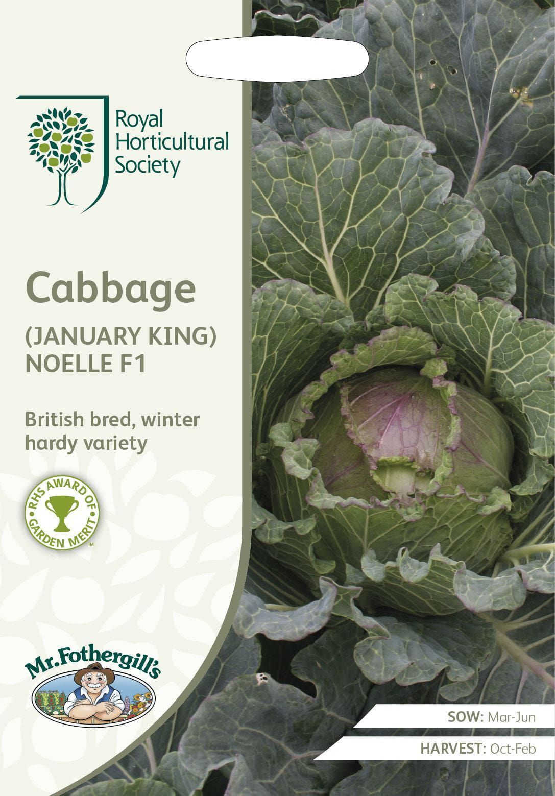 Mr Fothergills RHS Cabbage (January King) Noelle F1 50 Seeds
