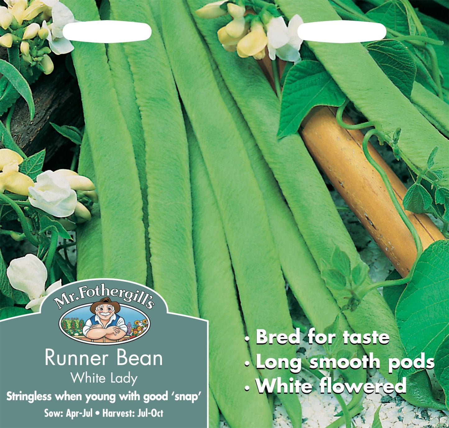 Mr Fothergills Runner Bean White Lady 45 Seeds