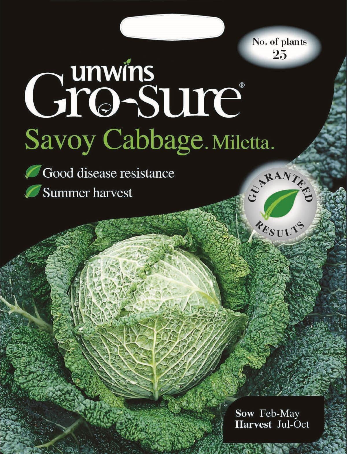 Unwins Cabbage Savoy Miletta F1 20 Seeds