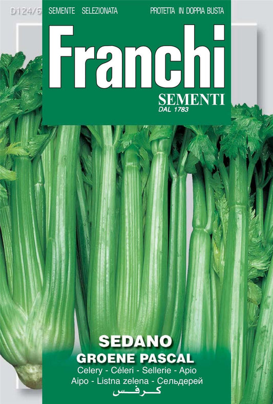 Franchi Seeds of Italy Celery Groene Pascal Seeds