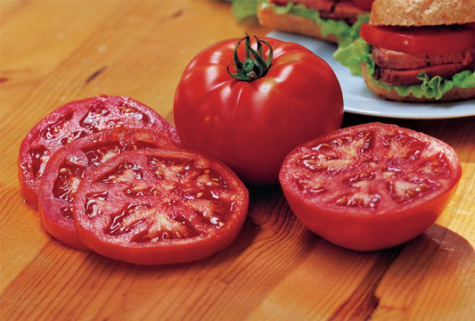 Tomato Steak Sandwich Seeds
