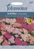 Johnsons Achillea Summer Berries 50 Seeds