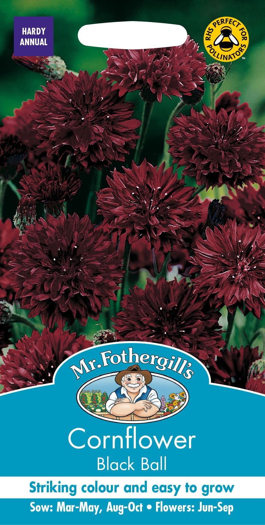 Mr Fothergills Cornflower Black Ball 250 Seeds