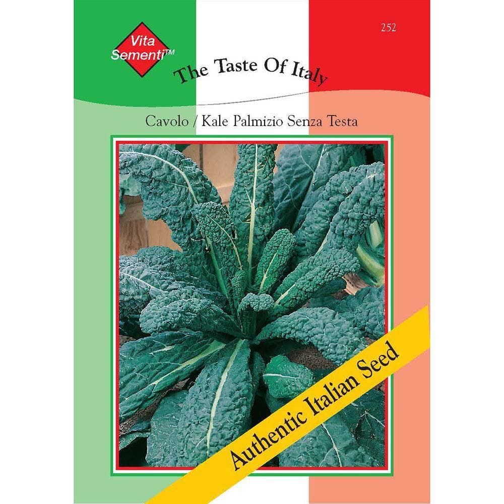Thompson & Morgan The Taste of Italy Vegetables Kale Il Cavolo Palmizio 1500 Seed