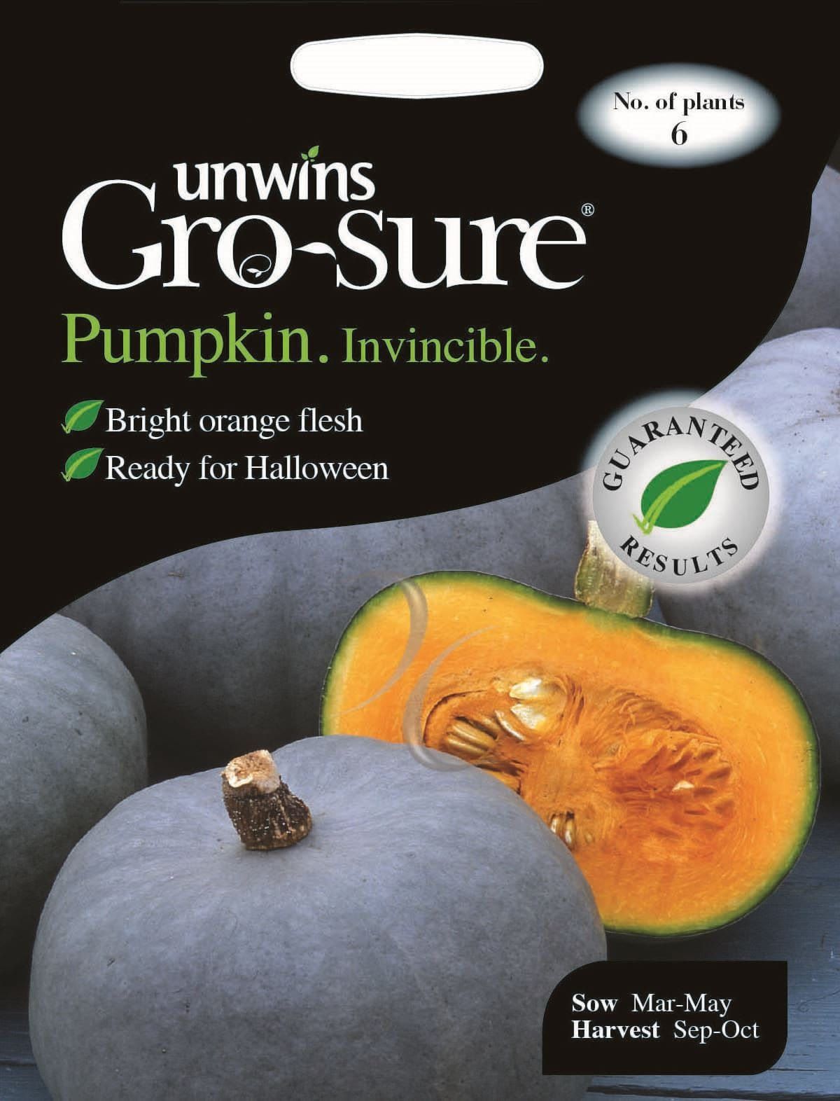 Unwins Pumpkin Invincible 6 Seeds