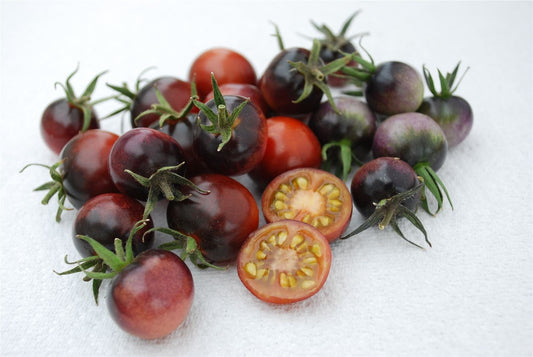 Tomato Indigo Blue Berries Seeds