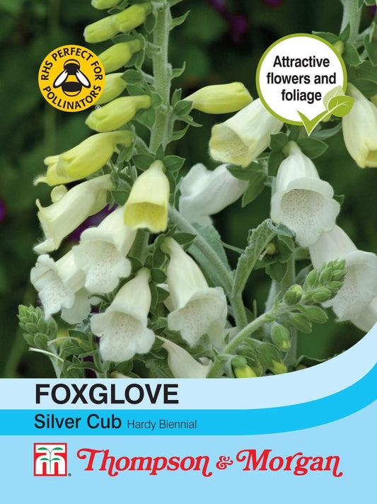 Thompson & Morgan - Flower - Foxglove - Silver Cub - 75 Seeds