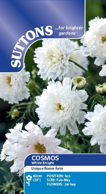 Sutton Seeds - Cosmea Seeds - White Knight