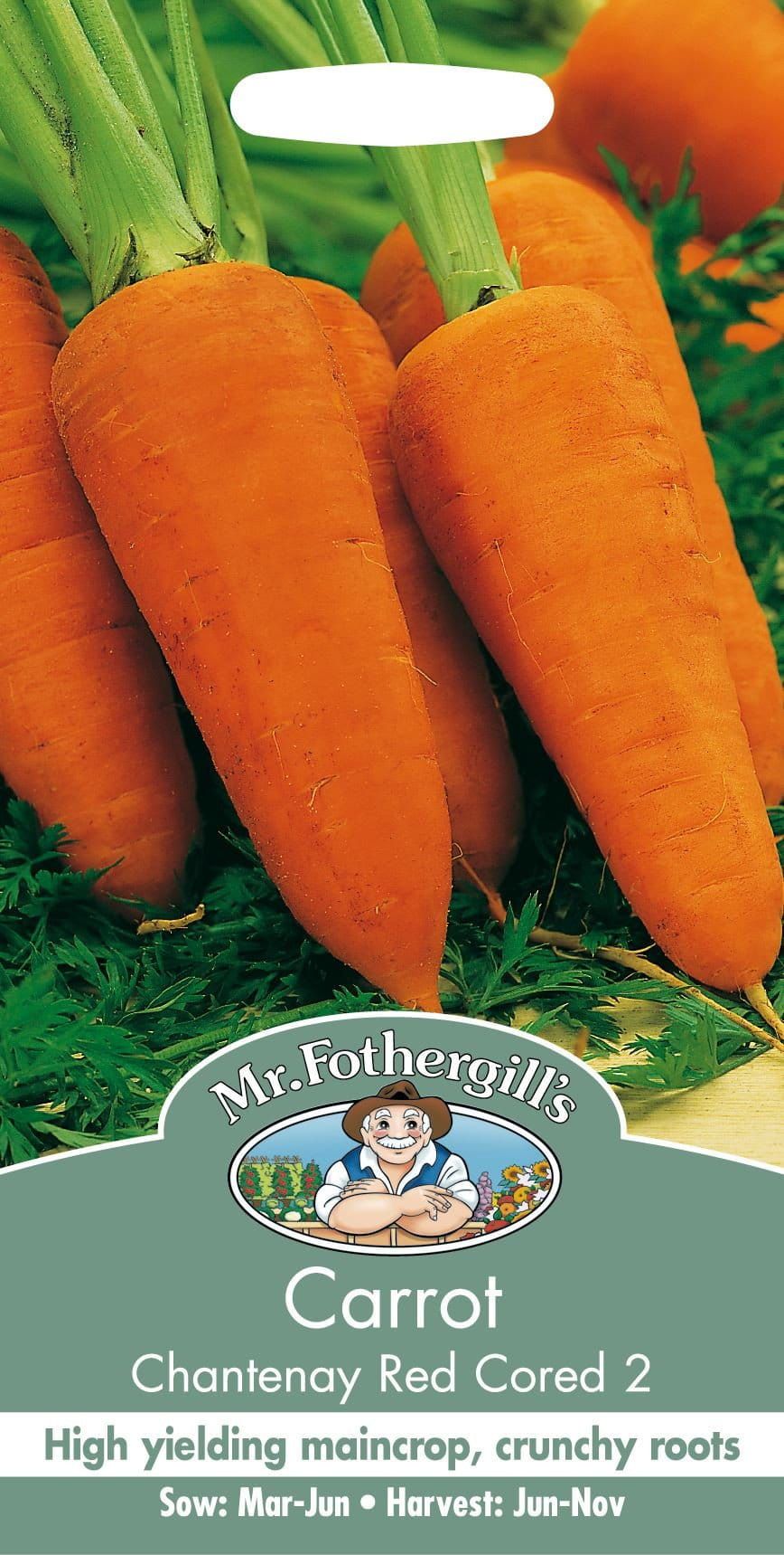 Mr Fothergills Carrot Chantenay Red Cored 2 - 2000 Seeds