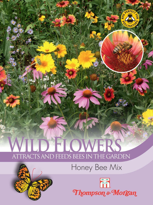 Thompson & Morgan Wild Flower Honey Bee Flower Mix Seeds