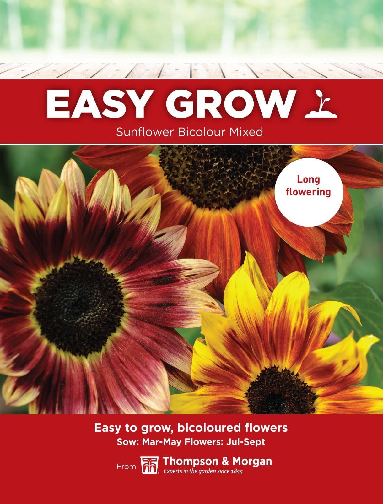 Thompson & Morgan - EasyGrow - Flower - Sunflower - Helianthus Bicolour Mixed - 15 Seeds