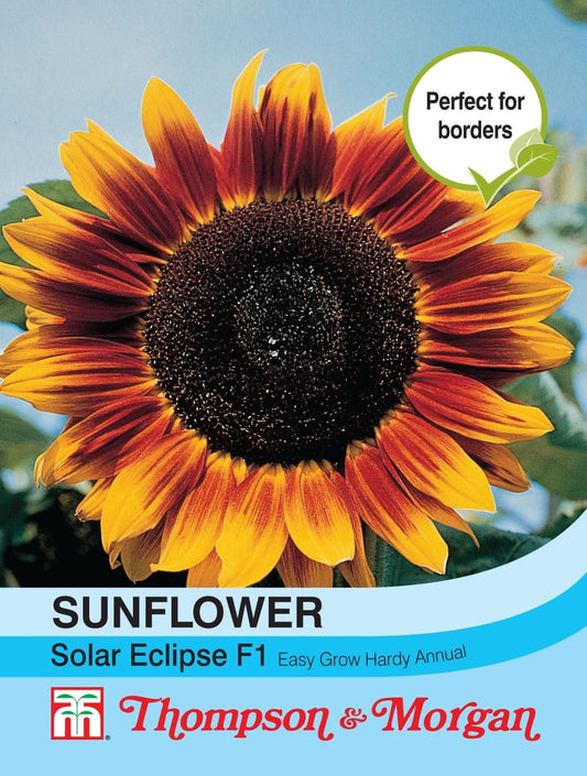 Thompson & Morgan Sunflower Solar Eclipse 20 Seed