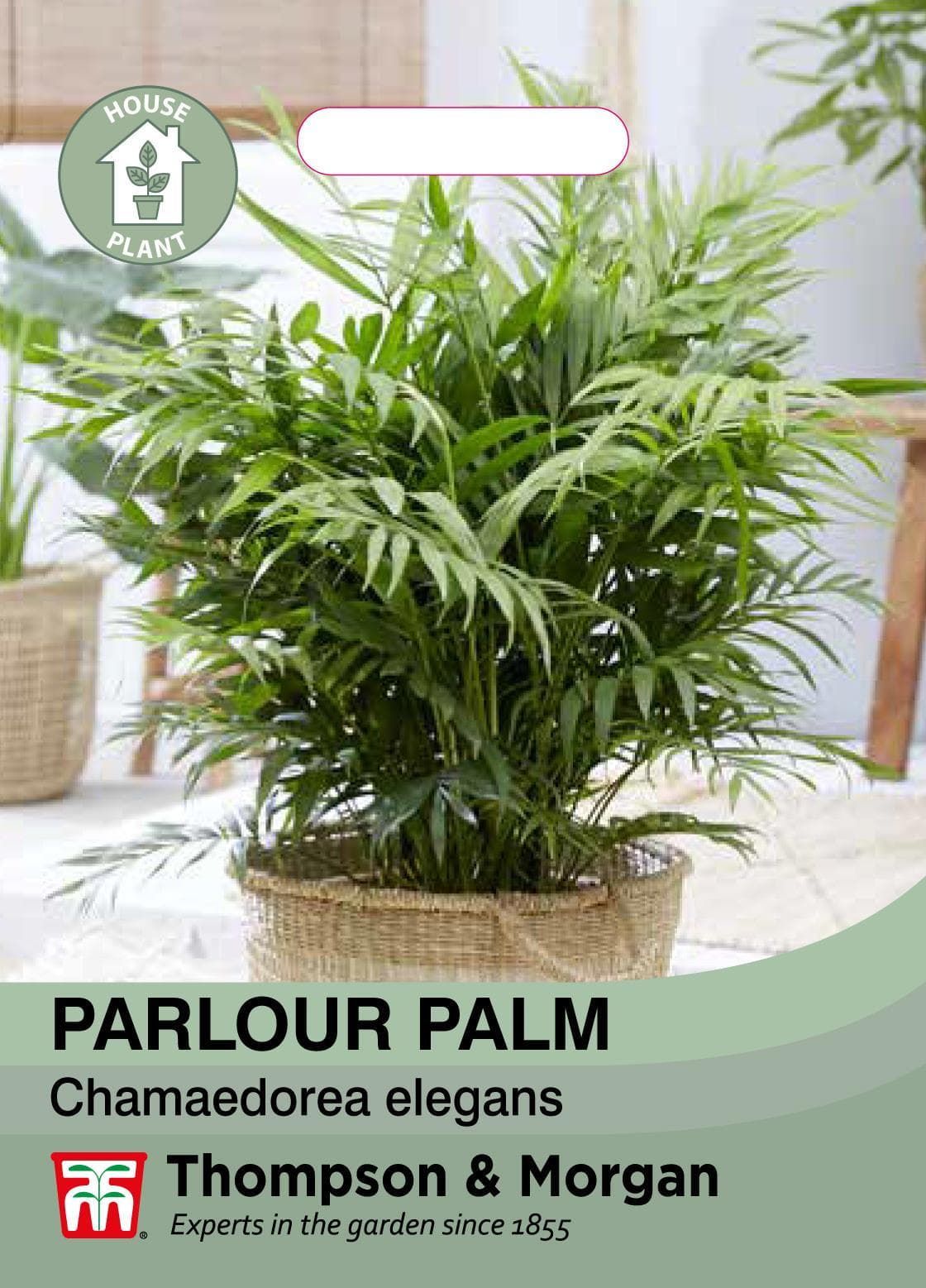 Thompson & Morgan House Plant - Parlour Palm - 25 Seeds