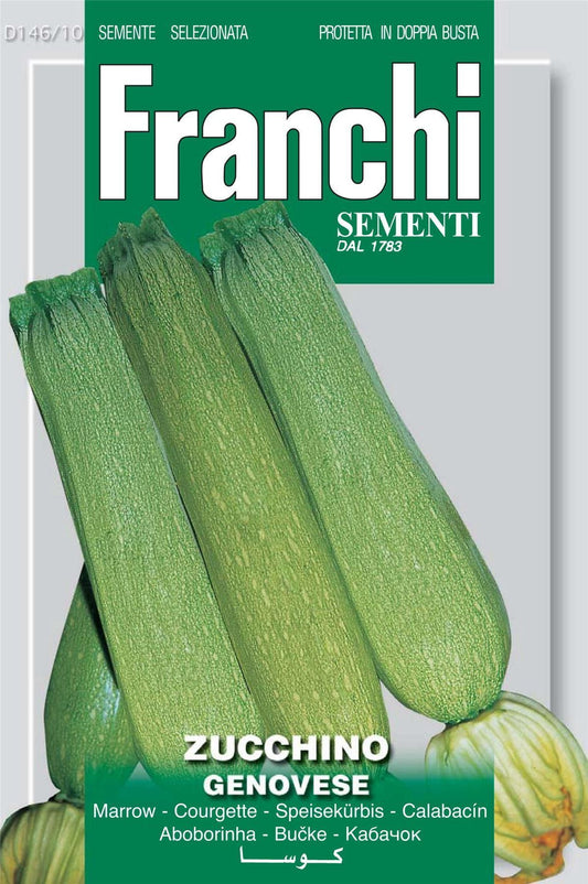 Franchi Seeds of Italy Courgette Genovese Seeds
