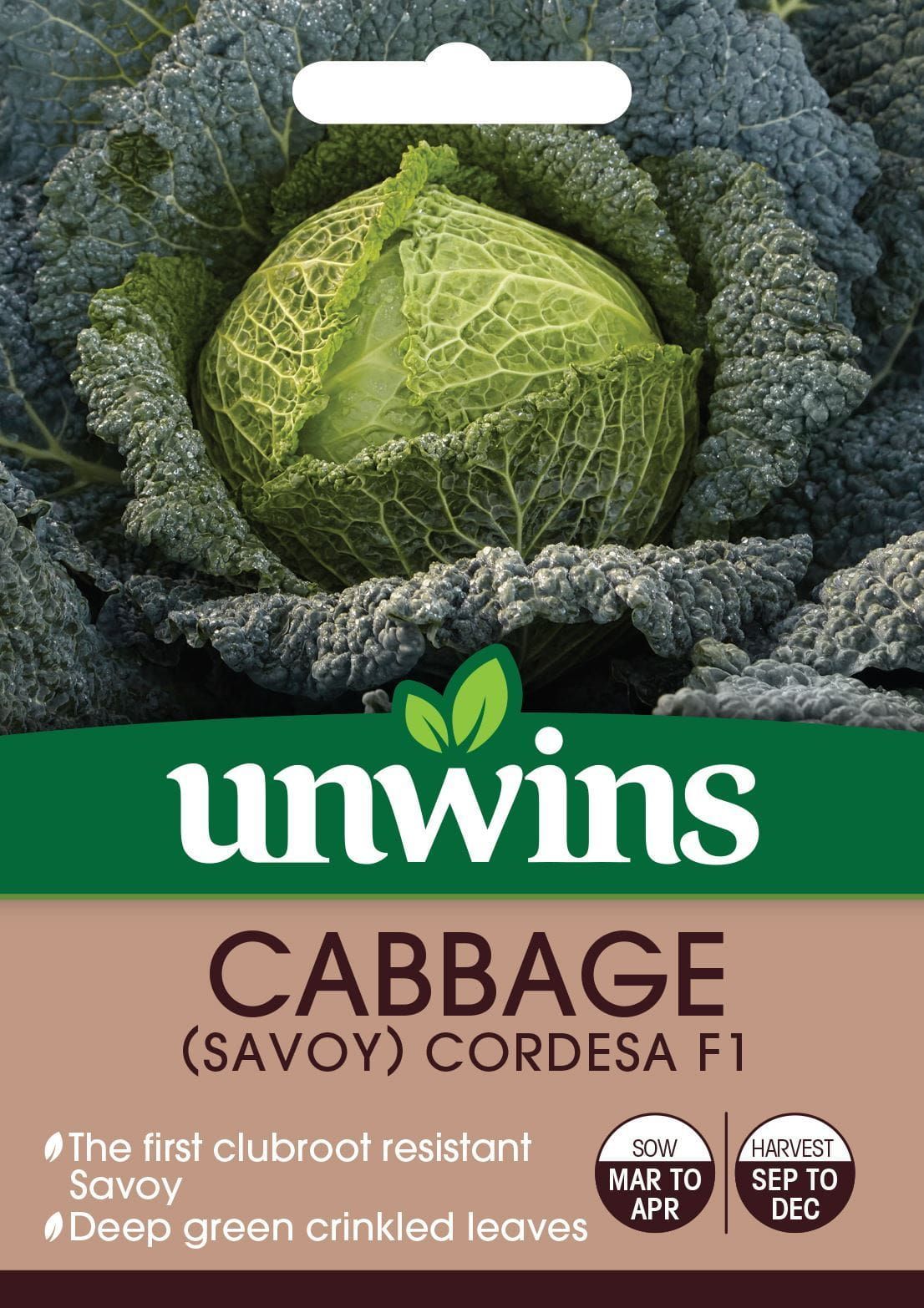 Unwins Cabbage (Savoy) Cordesa F1 20 Seeds
