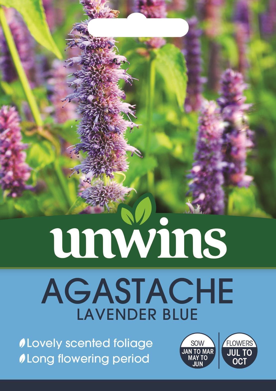 Unwins Agastache Lavender Blue 50 Seeds