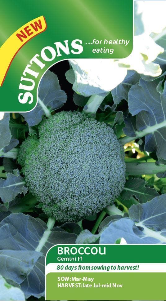 Sutton Seeds - Broccoli Seeds - Gemini F1