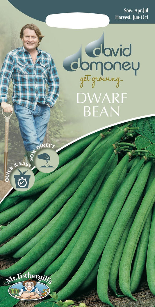 Mr Fothergills - David Domoney - Vegetable - Dwarf Bean - Ferrari - 60 Seeds