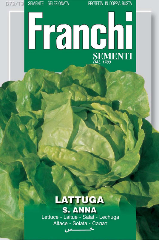 Franchi Seeds of Italy - DBO 79/19 - Lettuce - St. Anna - Seeds