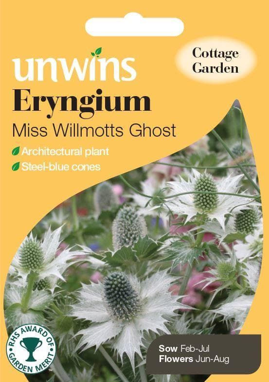Unwins Eryngium Miss Willmotts Ghost 20 Seeds