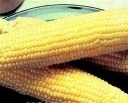 Sweetcorn Incredible F1 Hybrid Seeds