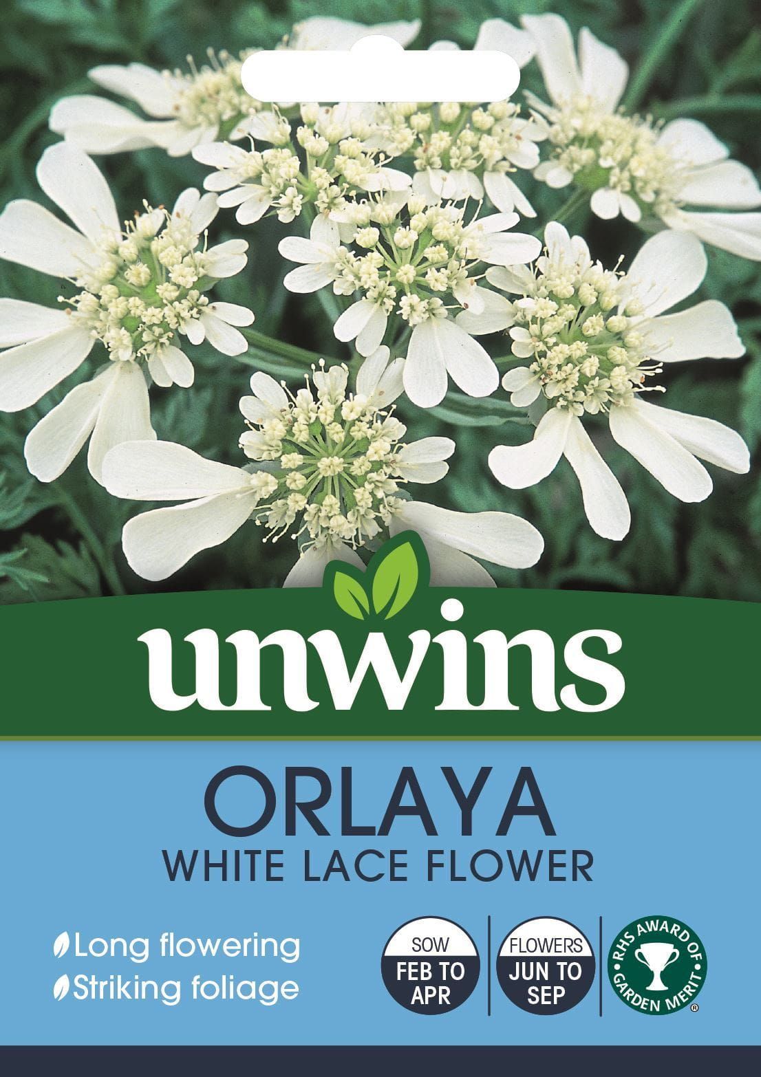 Unwins Orlaya White Lace Flower 25 Seeds