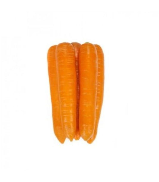 Carrot Fidra RZ F1 Hybrid (55-205) Untreated Seeds